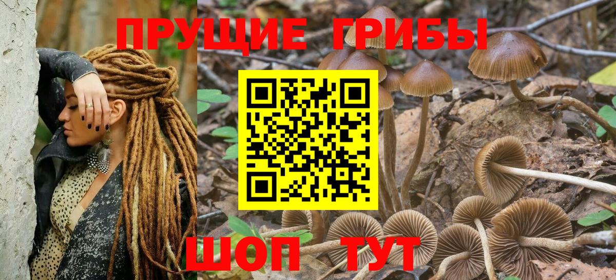 Псилоцибиновые грибы MAGIC MUSHROOMS  Вход с VPN  Галлюциногенные грибы Psilocybine cubensis  Новошахтинск 