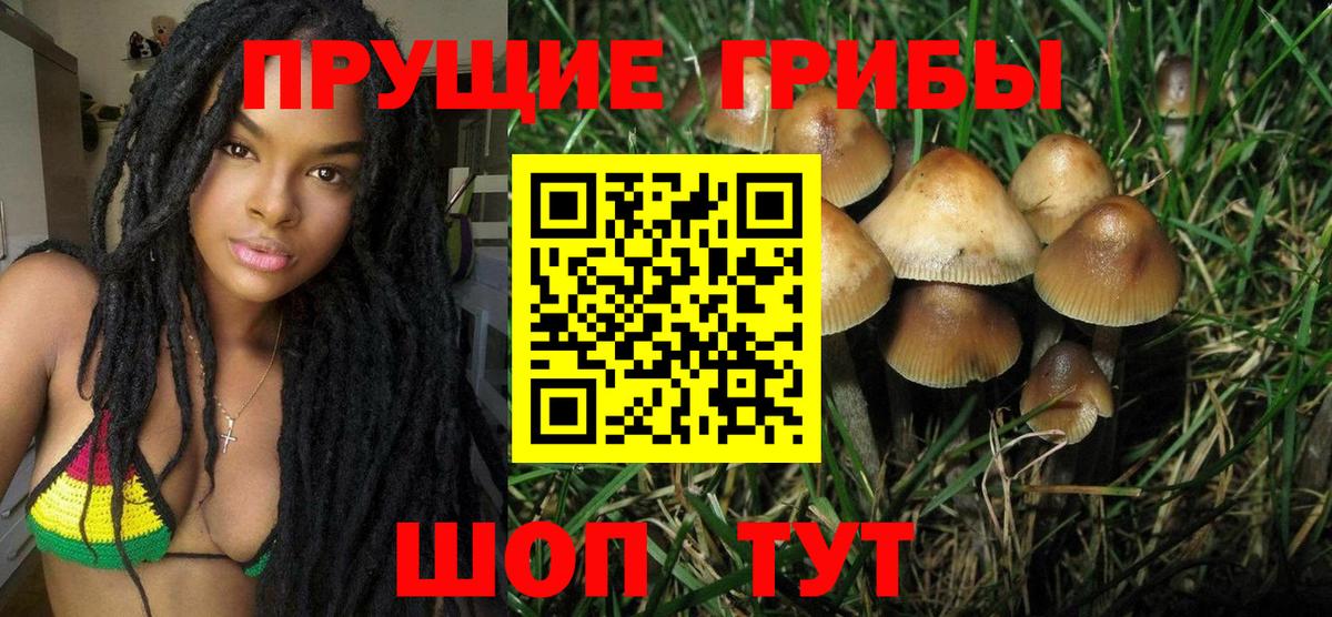 Галлюциногенные грибы Cubensis Новошахтинск