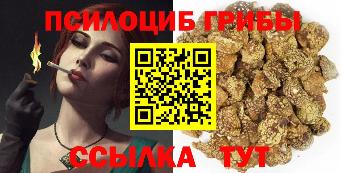Галлюциногенные грибы Magic Shrooms Новошахтинск